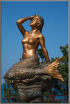 美人魚。