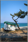 難道這一間小屋被海風吹歪 ?