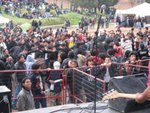 imagen (11)
