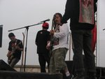 imagen (17)