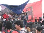 imagen (5)