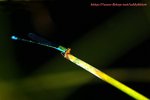 aDSC_5170