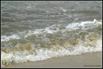 DSC_0778a