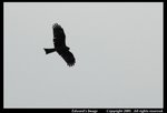 DSC_1477ab