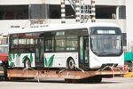 YoungManL