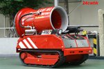 Tiger60