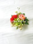 C31 ($22 Each)