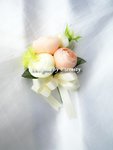 C36 ($25 Each)