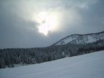 S8002390