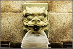 水池