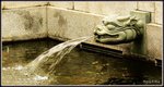 水池