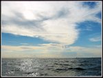 海天