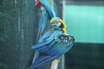 IMG_0191