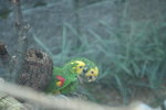 IMG_0196