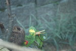IMG_0202