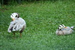 IMG_0253