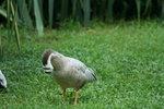 IMG_0254