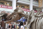 20060910_0451