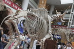 20060910_0454
