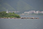 IMG_1556