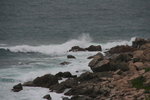IMG_1683