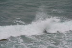 IMG_1710