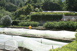 20060917_0516