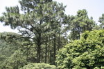 20060917_0626