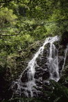 20060917_0670