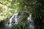 20060917_0681