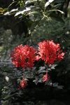 20060917_0750