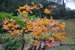 IMG_2742