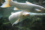 20061104_0913