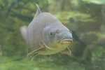 20061104_0919