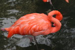 20061104_0934
