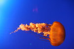 20061104_0978