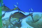 20061104_1048