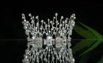 99% new tiara $50