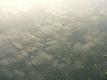 P1060482