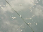 P1060484