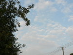 P1060487
