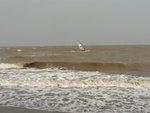 P1070098