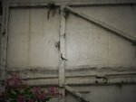 P1070294bc