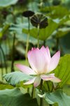 IMG_2211_1