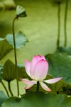 IMG_2244_1