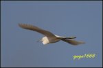 IMG_2022_nEO_IMG