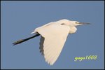 IMG_2034_nEO_IMG