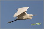 IMG_2035_nEO_IMG