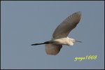 IMG_2038_nEO_IMG