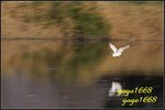 IMG_2061_nEO_IMG